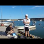 ハゼを探しに行ったら、色々な魚が釣れるようになっていました・・・