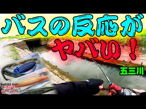 この釣り方、一生できるかも!!!【五三川】【バス釣り】【シャーベットヘアーチャンネル】