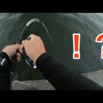 【高知県中部】多くの釣り人がロマンを求めて狙う魚を堤防の足元で釣り上げる【かぶせ釣り】