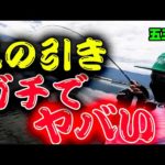 ついに事件が起こった！！！！【五三川】【バス釣り】【シャーベットヘアーチャンネル】