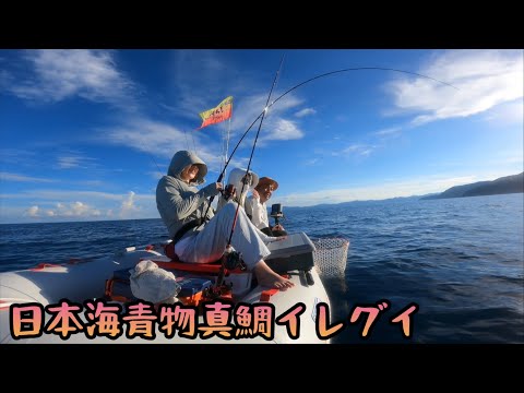 青物マダイ爆釣り、イレグイメンバーはやっぱり、イレグイ！！