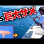 【トカラ列島GT釣り】GT釣りの聖地で化け物が食いついてきた！！