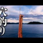 青イソメを餌にテトラで穴釣りしたり岸壁で足元に落としたら色んな魚に出会える【 餌釣り 】