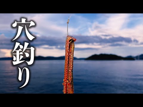 青イソメを餌にテトラで穴釣りしたり岸壁で足元に落としたら色んな魚に出会える【 餌釣り 】