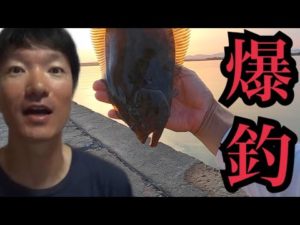 浜名湖で釣りしたら爆釣！晩御飯は豪勢にね🤤