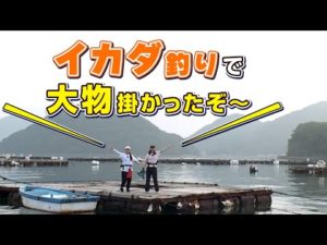GO!GO!九ちゃんフィッシング #538 「絶対ハマるイカダ釣り 狙えクロダイ・マダイ・特大カワハギ!」