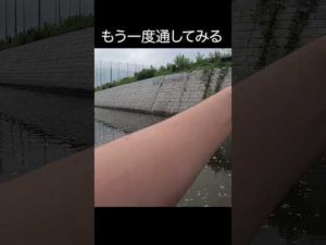 トップでいきなりドンッ!!【バス釣り】