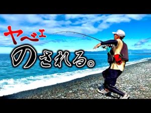 【衝撃】夏を感じる魚を釣りに行ったら、更にデカい魚を釣り上げた！