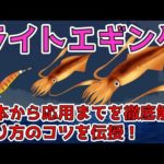 【ライトエギング】ツツイカを狙った釣り方やコツを解説！