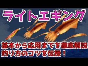 【ライトエギング】ツツイカを狙った釣り方やコツを解説!