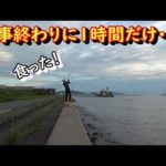 仕事が早く終わったので、1時間だけルアーを投げてみた！