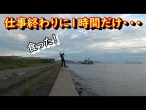 仕事が早く終わったので、1時間だけルアーを投げてみた！