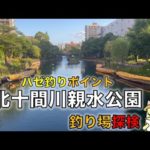 ハゼ釣りポイント「横十間親水公園」釣り場探検｜水上アスレチックから野鳥島まで歩いてみた