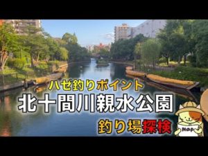 ハゼ釣りポイント「横十間親水公園」釣り場探検｜水上アスレチックから野鳥島まで歩いてみた