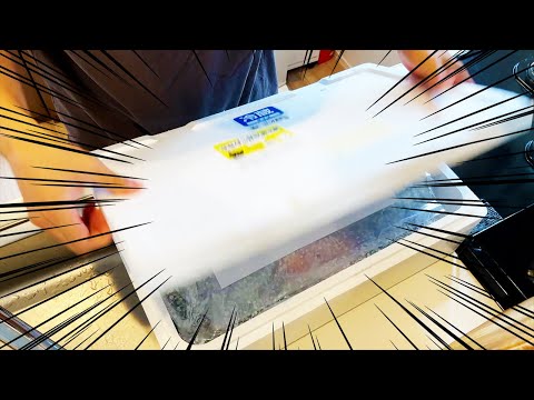 Amazon産5000円海鮮ボックスは高級魚と雑魚の差がすごかった