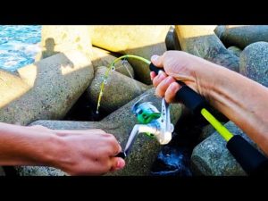 海鮮丼が食べたくてポケットに餌を忍ばせ釣りに行く