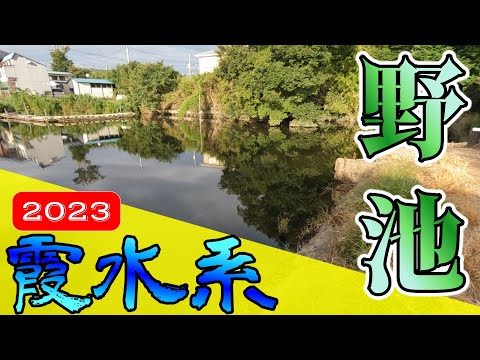 【バス釣り】【霞ヶ浦】8月お盆中_猛暑の野池は〇〇だった!!