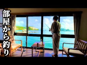 部屋から釣りできる宿で想定外の魚が釣れてしまった