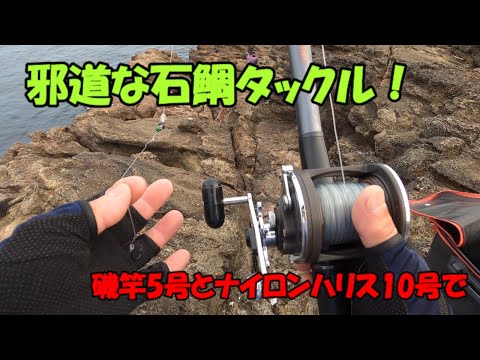 石鯛釣り今年も邪道しました。