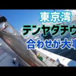 【テンヤタチウオ】合わせが大事！太刀魚船釣り｜東京湾猿島沖2023.8.26
