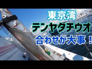 【テンヤタチウオ】合わせが大事！太刀魚船釣り｜東京湾猿島沖2023.8.26
