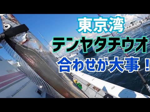 【テンヤタチウオ】合わせが大事！太刀魚船釣り｜東京湾猿島沖2023.8.26