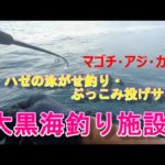 【大黒海釣り施設】ハゼの泳がせ釣り・ぶっこみ投げサビキ（マゴチ・アジ・カサゴ）