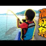 【釣り】高級魚 VS 小学生 　※奇跡が起きた!!