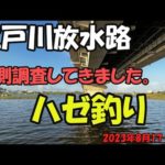 江戸川放水路ハゼ釣り（2023年8月17～18日）