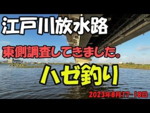 江戸川放水路ハゼ釣り(2023年8月17~18日)
