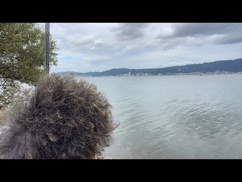 琵琶湖バス釣りライブRの8/31