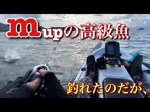 (釣り)約120cm高級魚!釣れたのだが・・カヤックフィッシング