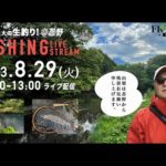 【LIVE】フライフィッシング・佐々木岳大の生釣り！　＠忍野