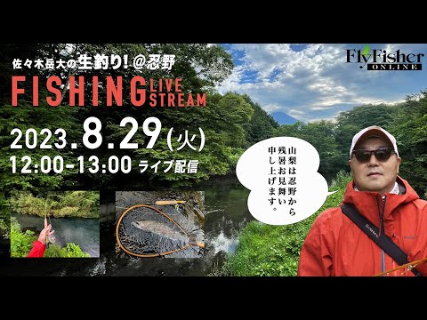 【LIVE】フライフィッシング・佐々木岳大の生釣り! @忍野