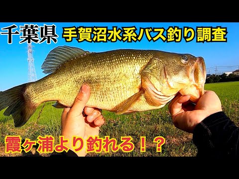 千葉県 手賀沼水系バス釣り調査　オカッパリ