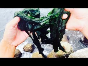 【閲覧注意】この釣りはマジで危険なので絶対にやめて下さい。