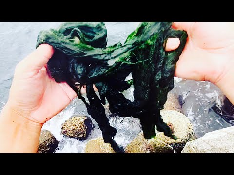 【閲覧注意】この釣りはマジで危険なので絶対にやめて下さい。