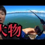 愛知遠征で虫エサが余ったので浜名湖でちょい投げ釣りしたら…