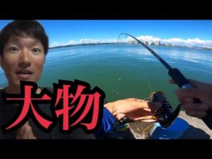 愛知遠征で虫エサが余ったので浜名湖でちょい投げ釣りしたら…