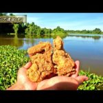 海外の化物がいる川でチキン釣りしてみると…【マレーシア遠征#2】