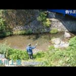 西多摩郡 平井川上流で小物釣り。暑い夏は標高の高い場所で釣りしましょ♪