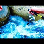 激流白波テトラの穴から出現する根魚