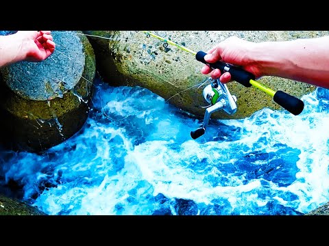 激流白波テトラの穴から出現する根魚