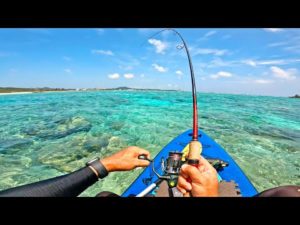 台風後に釣れる魚たち…