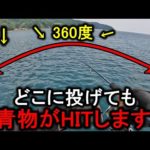 360°全方向青物がボイルする海で小型ミノーを表層早巻きした反応がヤバい…