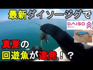 【千葉県某所】最新ダイソージグで真夏の回遊魚が連発！？お盆休みの8月中旬、関東地方にある房総半島の東京湾側に面した内房の釣り場で100均のメタルジグでルアー釣りをしてみたら…！【2023.08.18】