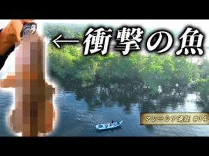 【衝撃】思いもよらない、まさかのスーパー高級魚が釣れる【マレーシア遠征#14】