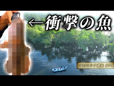 【衝撃】思いもよらない、まさかのスーパー高級魚が釣れる【マレーシア遠征#14】