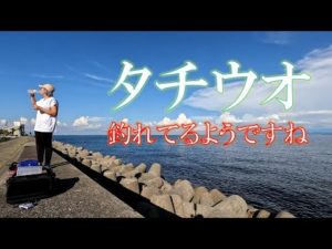 【淡路島 釣り】妻と二人で淡路島へタチウオを狙いにドライブ!
