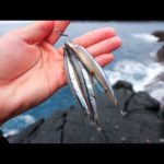 大物の実績が多数ある岩礁でキビナゴを落とすと…突然竿がぶち曲がる【#2】